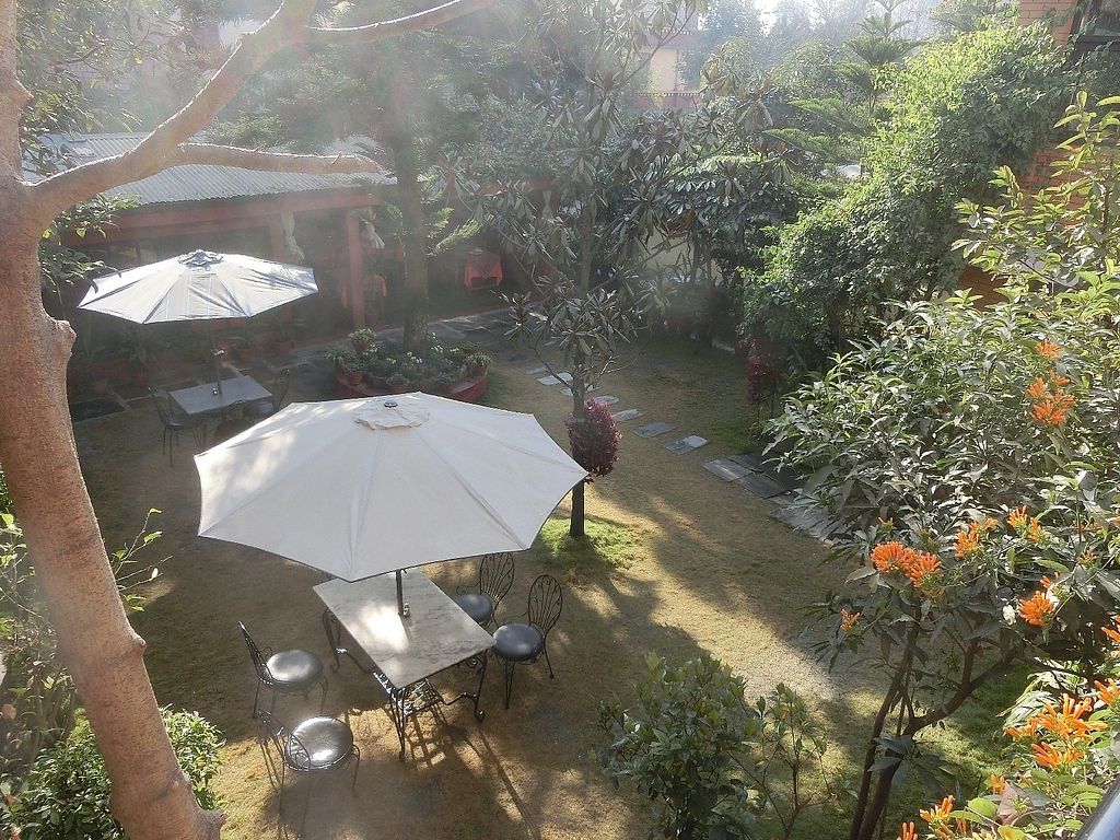 The café garden in morning mist, seen from above: white parasols over marble tables on the lawn, flowering shrubs along the path