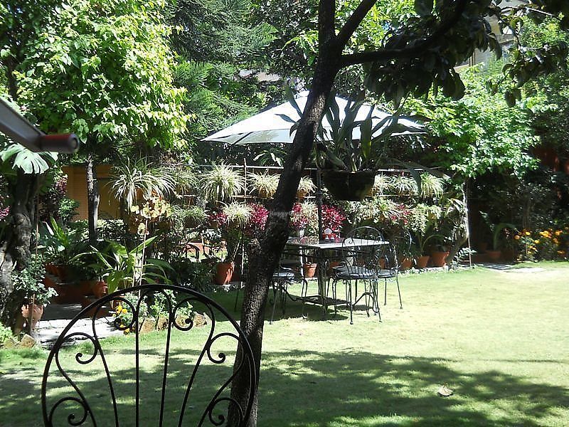 Café tables and chairs on the lawn under a parasol, pots of flowers along the hedge